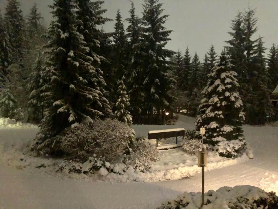 Powderhorn By Whistler Blackcomb Vacation Rentals Dış mekan fotoğraf
